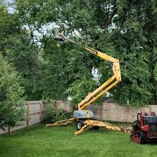 Best Commercial Tree Removal  in USA